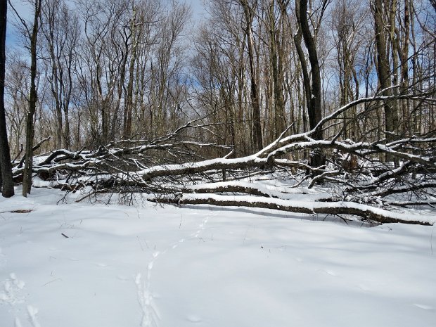 RockRiftTowerMar2013