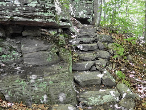 WoodlandValleyPhoeniciaJun2014