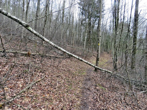 RoundTopBeforeSnowFeb2024