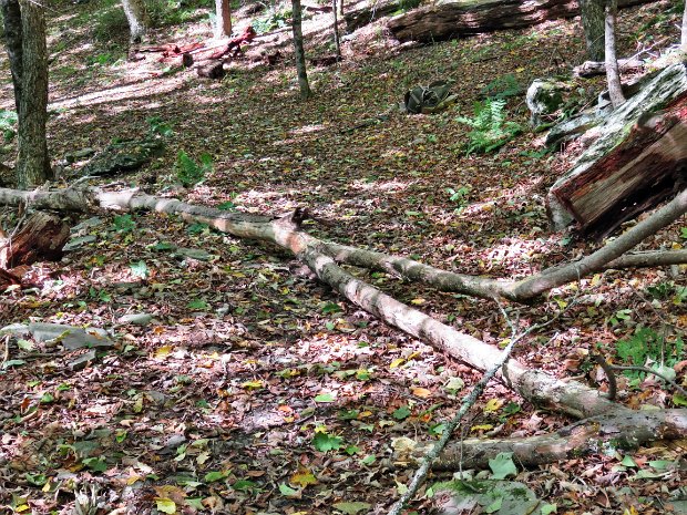 RoundTopCleanupSep2022