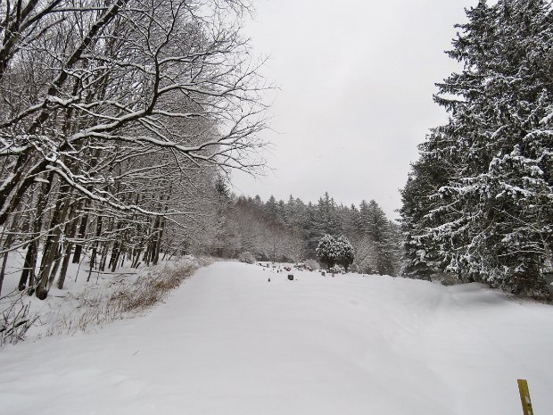 RoundTopFigure8sJan2018