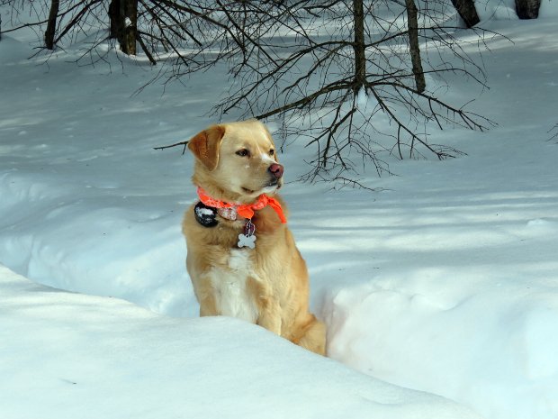 RoundTopFigure8sMar2017