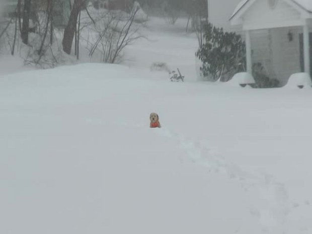 RoundTopLookoutMar2017