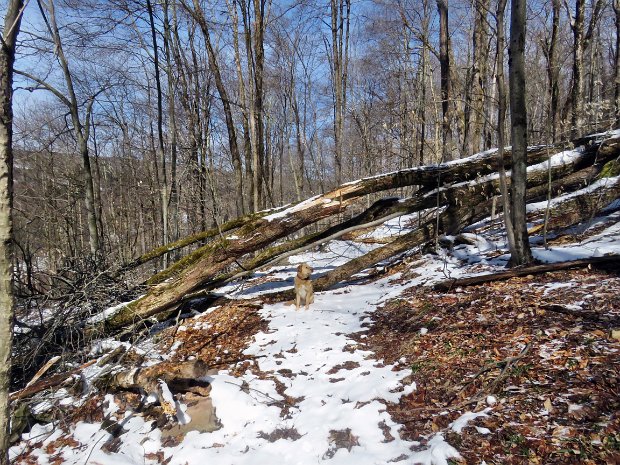 RoundTopMaintenanceApr2018