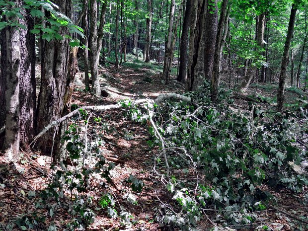 RoundTopMaintenanceAug2024