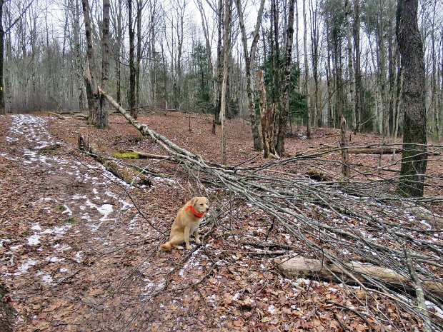 RoundTopMaintenanceDec2021