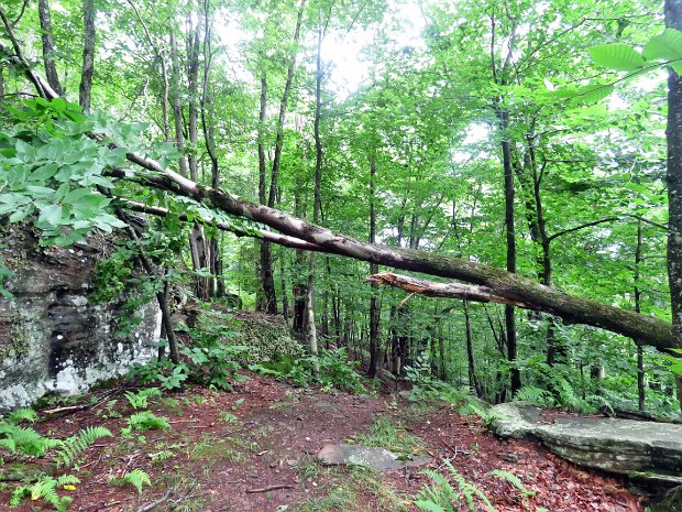 RoundTopMaintenanceJul2021