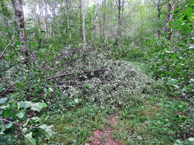 RoundTopMaintenanceJul2022