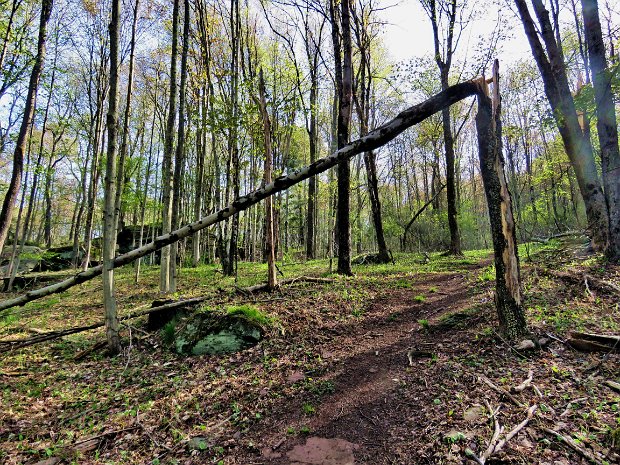 RoundTopMaintenanceMay2020