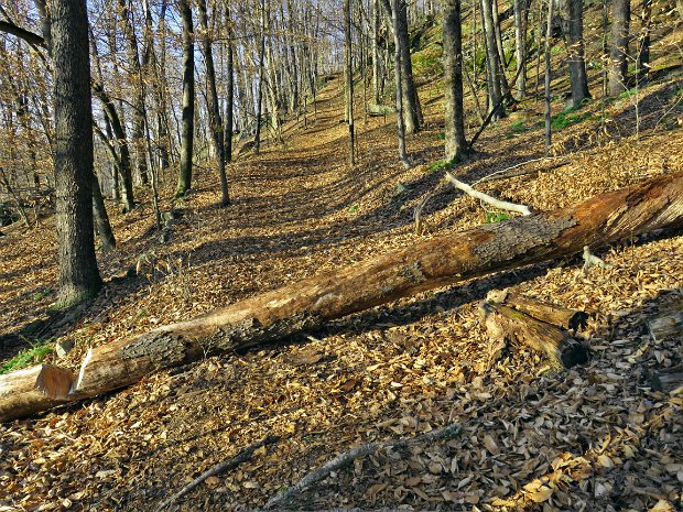 RoundTopMaintenanceNov2022