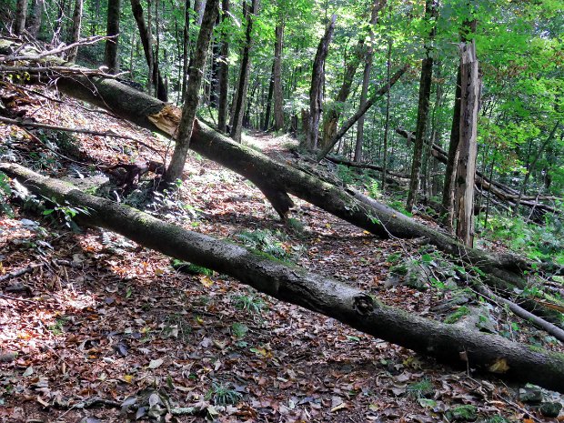 RoundTopMaintenanceSep2022