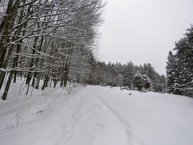 RoundTopSnowStormFeb2021