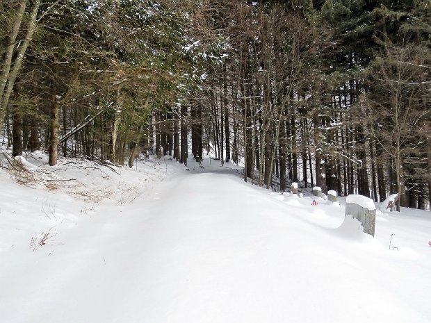 RoundTopSnowshoeFeb2017A