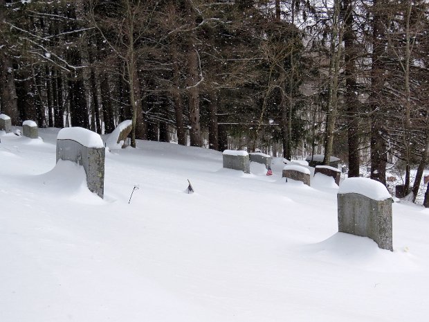 RoundTopSnowshoeFeb2017B