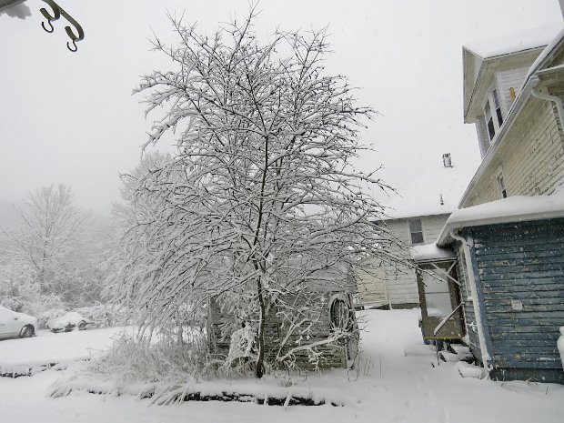 RoundTopSnowshoeMar2018