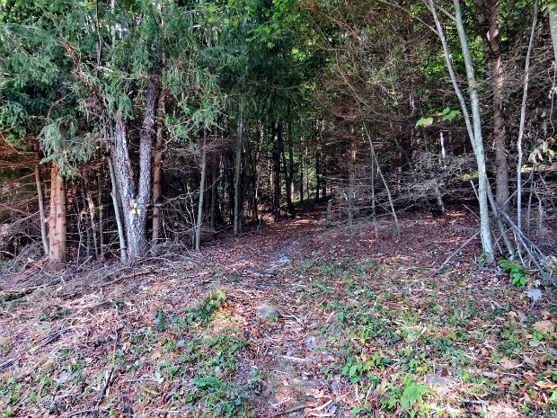 RoundTopTrailSep2016b