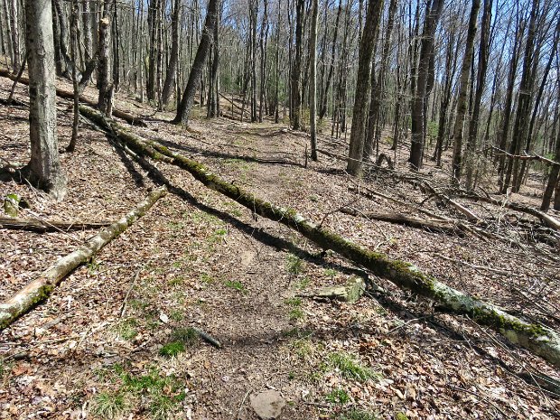 TrailMaintenanceApr2024