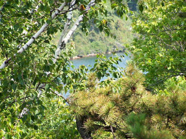 SamsPtAwostingAug2007