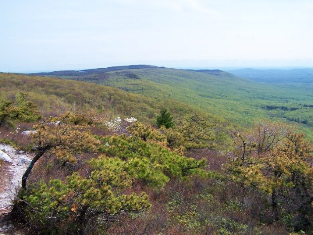 SamsPtAwostingMay2008