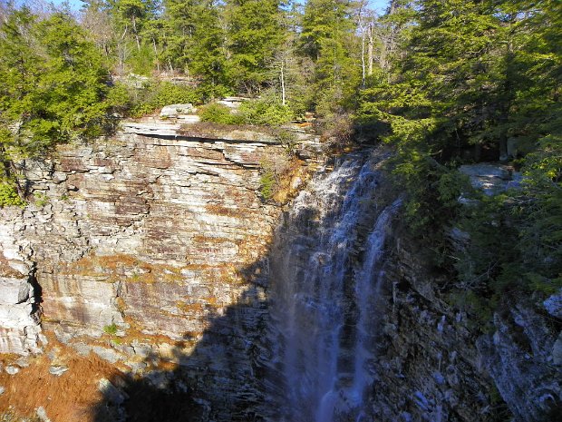 SamsPtAwostingNov2010