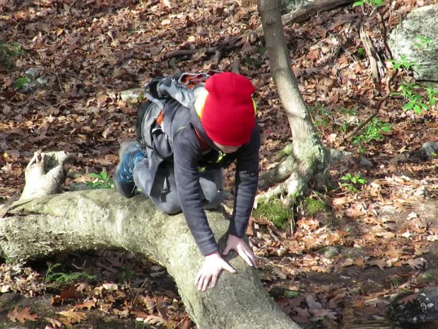 TrestleClockwiseNov2018