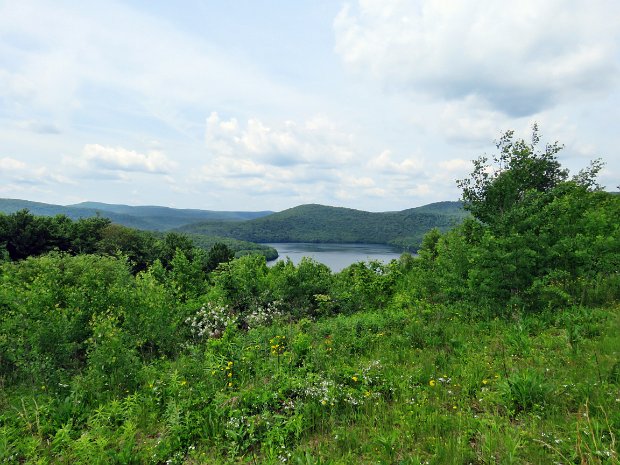 ShavertownRelocationJun2018