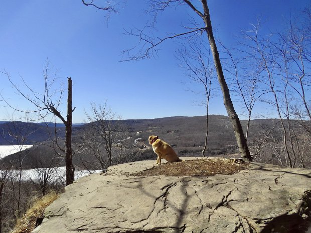 ShavertownTrailsMar2021