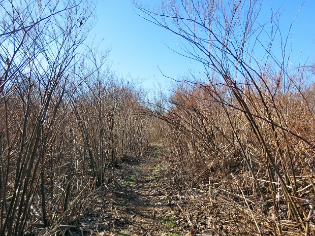 Stewart State Forest