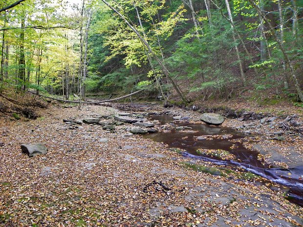 TompkinsFallsSep2010