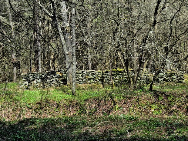 CampbellMtLoopMay2020