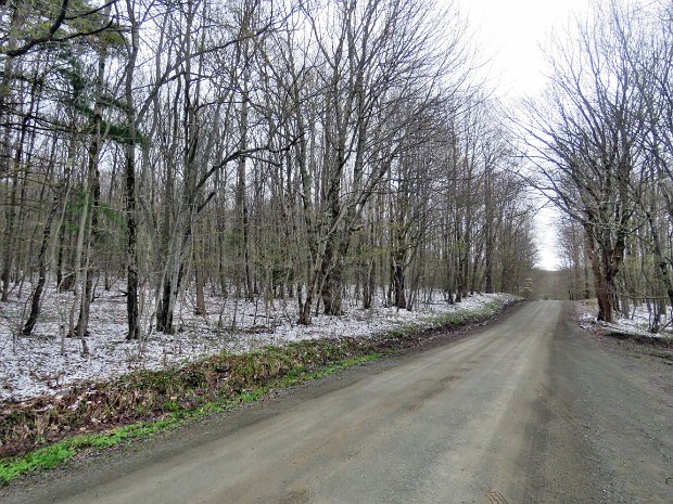 CampbellMtTroutPondMay2021