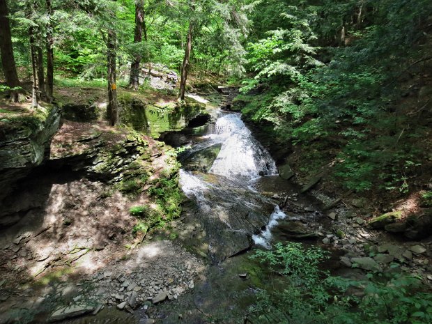 TroutAroundMudJun2014