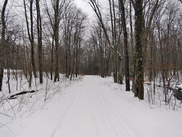 TroutCampbellBrookJan2017