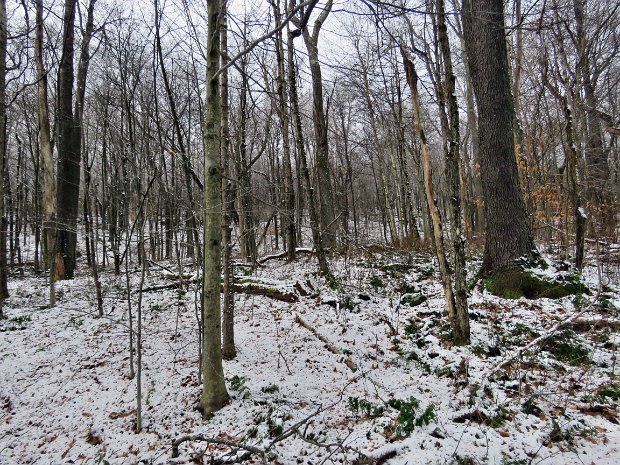 TroutClockwiseNov2019