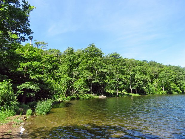 TroutCounterLowerJun2022