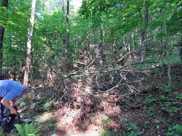 TroutMaintenanceAug2016