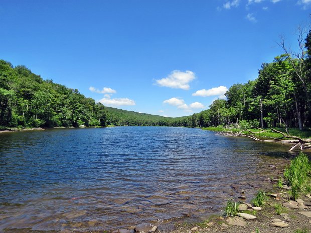 TroutMaintenanceJun2018