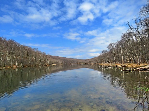 TroutMortonHillApr2020