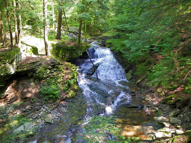 TroutMortonHillJul2011