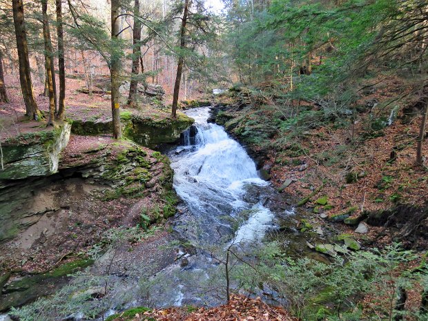 TroutMudCounterOct2017