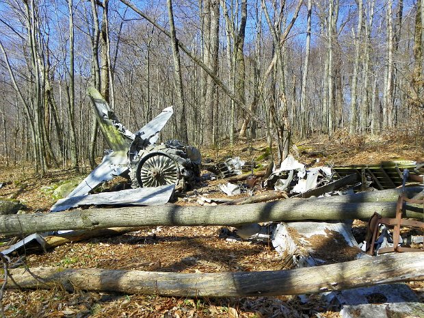 VanWyckTablePeekApr2012