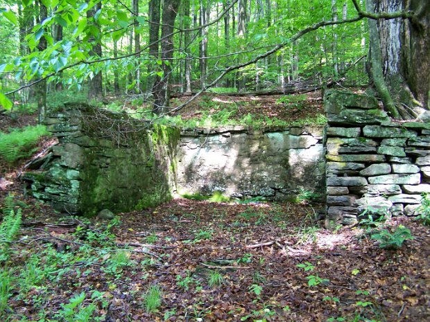 VanWyckWoodhullMay2009