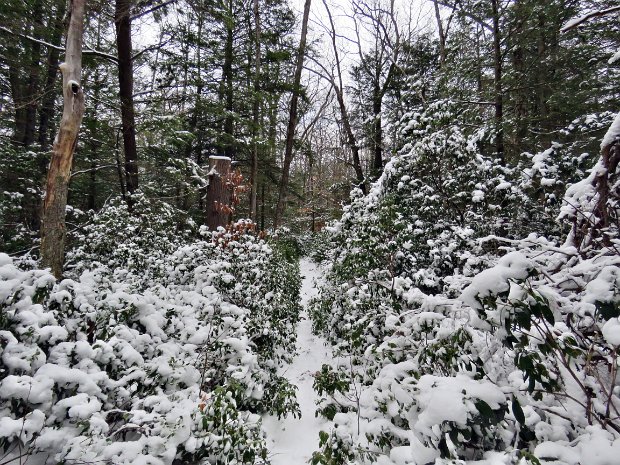 VernooyKillGreenvilleLoopJan2021