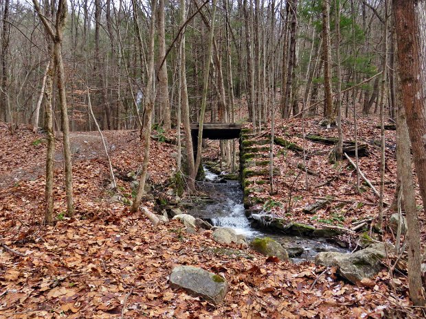 ButtermilkFallsSpringGlenDec2020