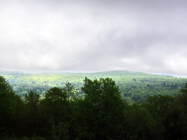 PeekamooseRdFallsMay2011