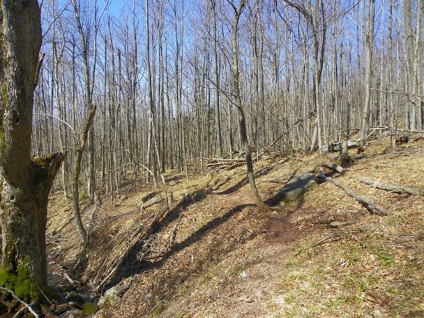 WindhamApr2011
