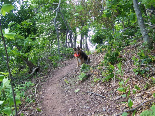 WindhamBlackheadJul2007
