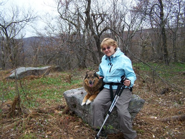 Winnisook and Spruce