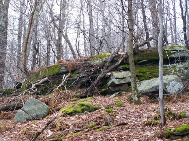 WoodpeckerRidgeApr2009