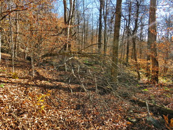 picture taken during a hike